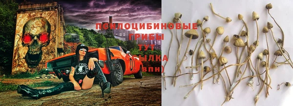 шишки Навашино