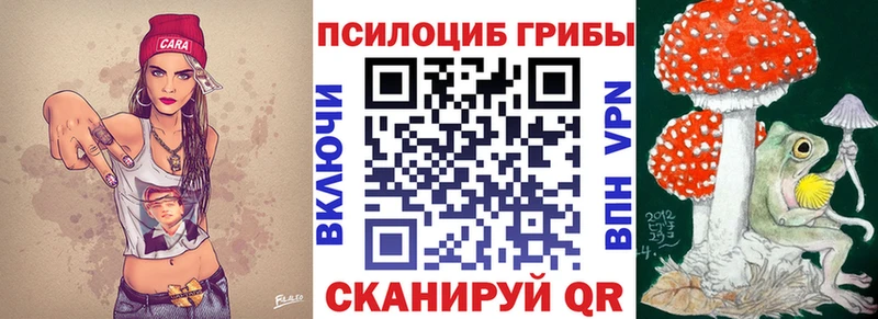 Галлюциногенные грибы прущие грибы  даркнет сайт  Тайга 